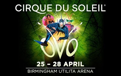 Cirque Du Soleil OVO 2024