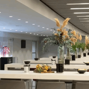 VIP 210 Package