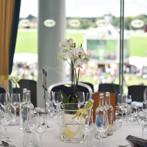 Dante Suite Hospitality - Dante Final Furlong II