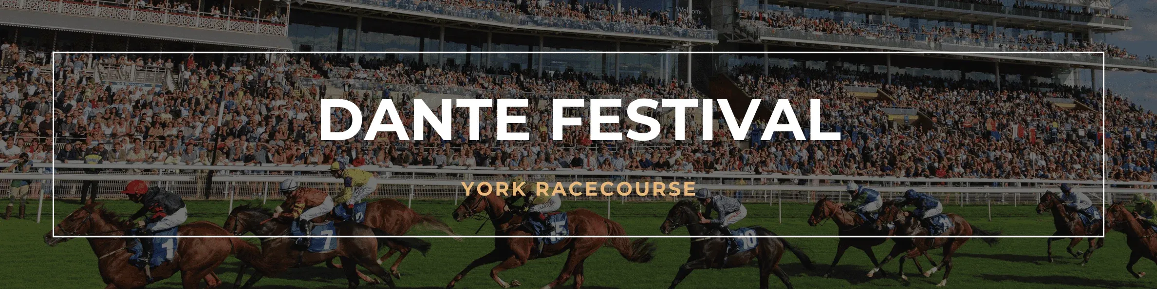 Dante Festival 2026 Official Hospitality | York Racecourse