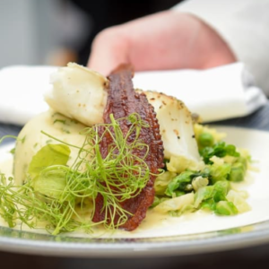 Final Furlong Shared Hospitality - Uttoxeter Racecourse