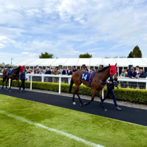 Paddock Pavilion Restaurant Hospitality - Bath Racecourse