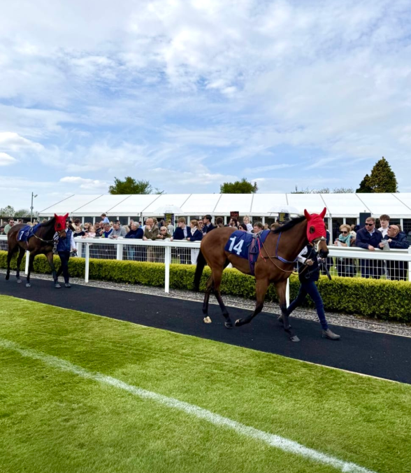 Paddock Pavilion Restaurant Hospitality - 2 Paddock Pavilion Restaurant Hospitality - Bath Racecourse