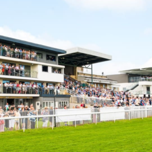 Social Celebration Box Hospitality - Bath Racecourse