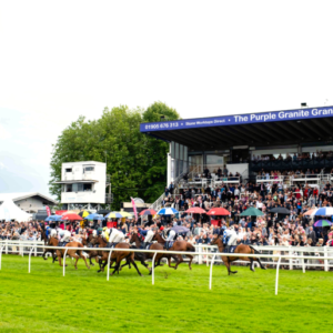Social Celebration Box Hospitality - Worcester Racecourse